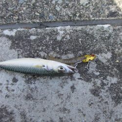 サバゲーもルアー次第ですね。